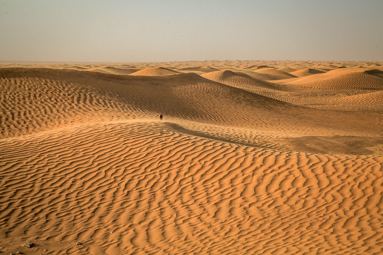 Sahara Tours from Djerba