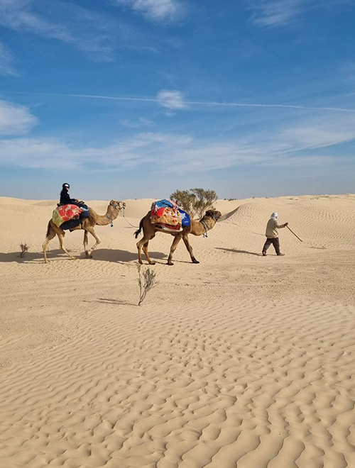Sahara Tours from Tunis, Sousse and Hammamet