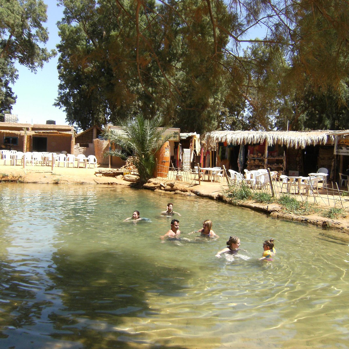 Ksar Ghilane Oasis: How to Add It to a Sahara Tour